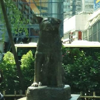 Hachi the loyal dog in Shibuya.